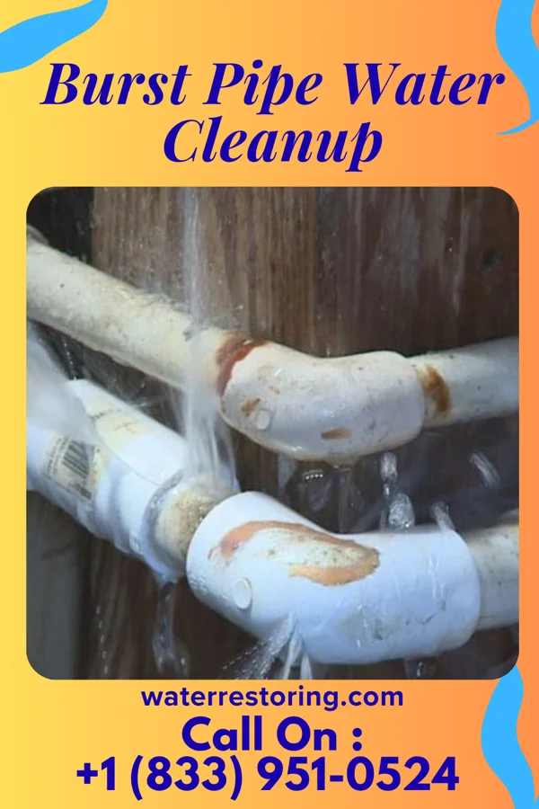 Burst Pipe Water Cleanup in Ashland, VA