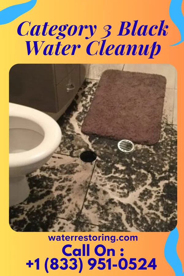 Category 3 Black Water Cleanup in Ashland, VA