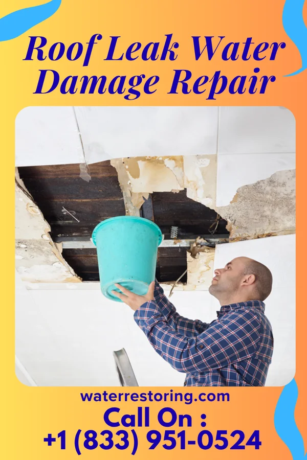 Roof Leak Water Damage Repair in Ashland, VA