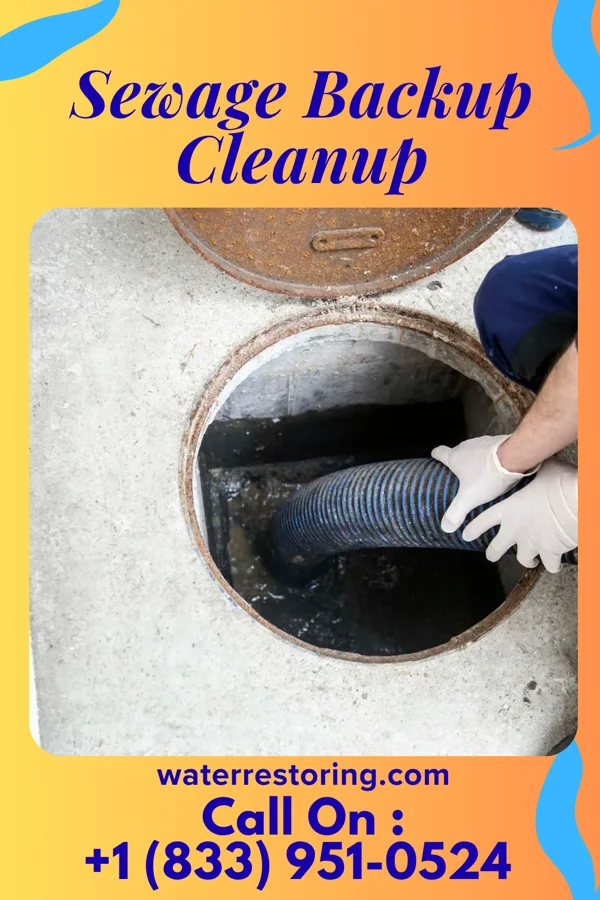 Sewage Backup Cleanup in Ashland, VA