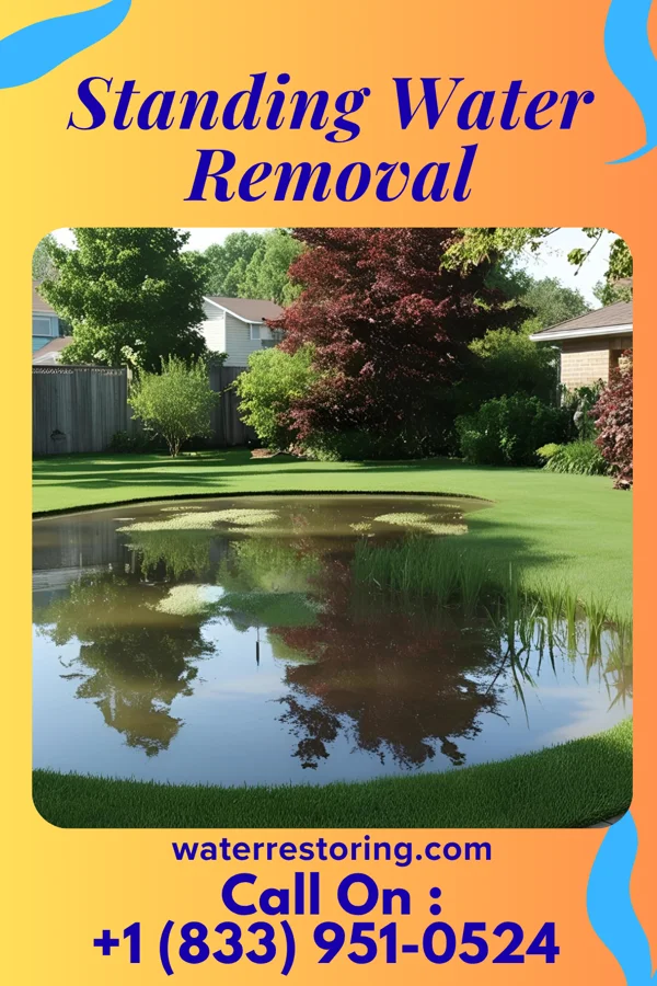 Standing Water Removal in Ashland, VA
